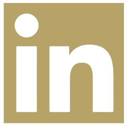 linkedin gold logo.png